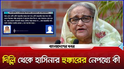 দিল্লি থেকে হাসিনার হুঙ্কারের নেপথ্যে কী